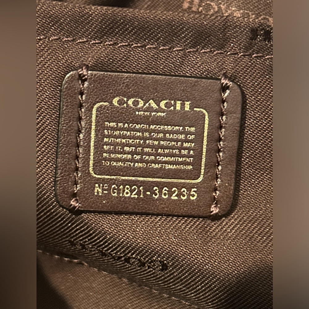 Coach Swagger Mini - Picture 9 of 15